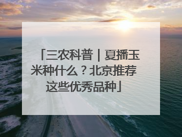 三农科普｜夏播玉米种什么？北京推荐这些优秀品种
