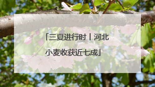 三夏进行时丨河北小麦收获近七成