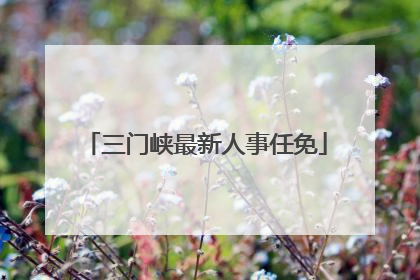 三门峡最新人事任免