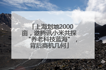上海划地2000亩，邀腾讯小米共探“养老科技蓝海”，背后商机几何