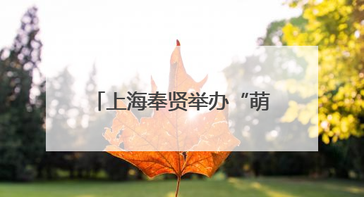 上海奉贤举办“萌娃社交”活动，为青春经济注入新活力