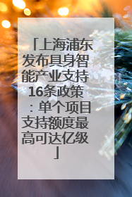 上海浦东发布具身智能产业支持16条政策：单个项目支持额度最高可达亿级