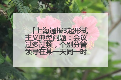 上海通报3起形式主义典型问题：会议过多过频，个别分管领导在某一天同一时段需参加3个会议