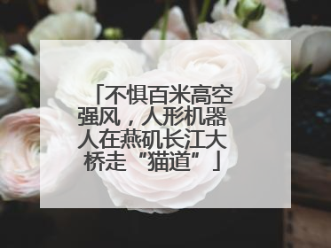 不惧百米高空强风，人形机器人在燕矶长江大桥走“猫道”