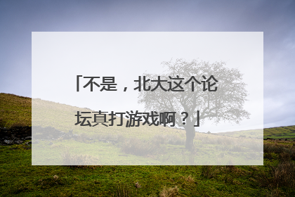 不是，北大这个论坛真打游戏啊？