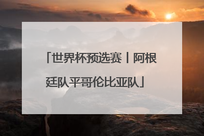 世界杯预选赛丨阿根廷队平哥伦比亚队