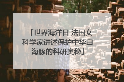 世界海洋日 法国女科学家讲述保护中华白海豚的科研奥秘
