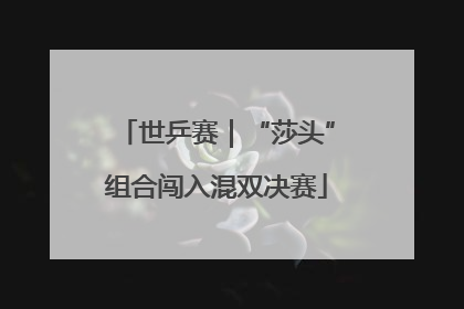 世乒赛｜“莎头”组合闯入混双决赛