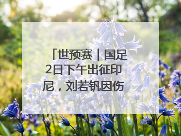 世预赛｜国足2日下午出征印尼，刘若钒因伤落选大名单
