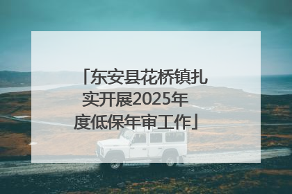 东安县花桥镇扎实开展2025年度低保年审工作