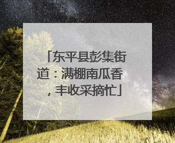 东平县彭集街道：满棚南瓜香，丰收采摘忙