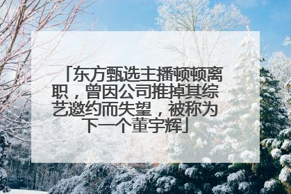 东方甄选主播顿顿离职，曾因公司推掉其综艺邀约而失望，被称为下一个董宇辉