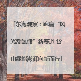 东海观察：跑赢“风光潮氢储”新赛道 岱山绿能澎湃向新而行