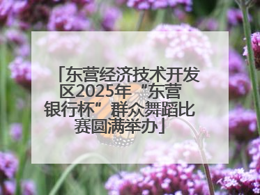 东营经济技术开发区2025年“东营银行杯”群众舞蹈比赛圆满举办