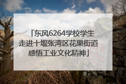 东风6264学校学生走进十堰张湾区花果街道感悟工业文化精神