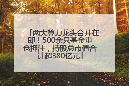 两大算力龙头合并在即！500余只基金重仓押注，持股总市值合计超380亿元