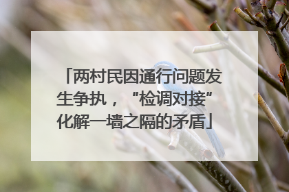 两村民因通行问题发生争执，“检调对接”化解一墙之隔的矛盾