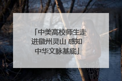 中美高校师生走进徽州灵山 感知中华文脉基底