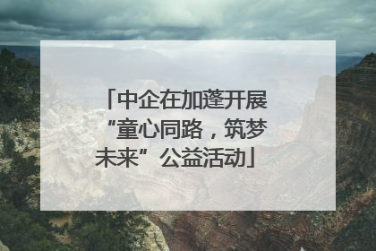 中企在加蓬开展“童心同路，筑梦未来”公益活动