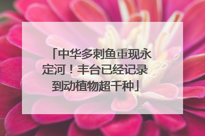 中华多刺鱼重现永定河！丰台已经记录到动植物超千种