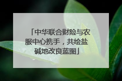 中华联合财险与农服中心携手，共绘盐碱地改良蓝图