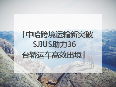 中哈跨境运输新突破 SJIUS助力36台轿运车高效出境