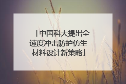 中国科大提出全速度冲击防护仿生材料设计新策略