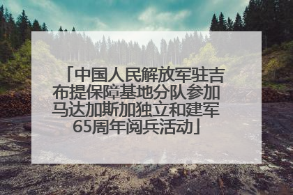 中国人民解放军驻吉布提保障基地分队参加马达加斯加独立和建军65周年阅兵活动