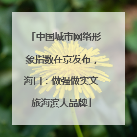 中国城市网络形象指数在京发布，海口：做强做实文旅海滨大品牌