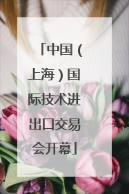 中国（上海）国际技术进出口交易会开幕