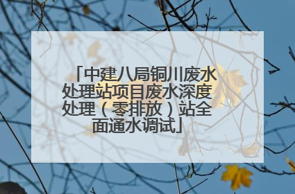 中建八局铜川废水处理站项目废水深度处理（零排放）站全面通水调试