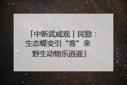 中新武威观｜民勤：生态蝶变引“客”来 野生动物乐逍遥