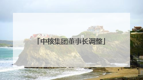中核集团董事长调整