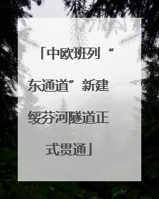 中欧班列“东通道”新建绥芬河隧道正式贯通