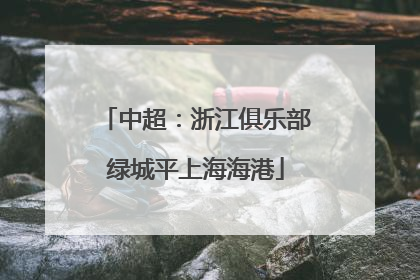 中超：浙江俱乐部绿城平上海海港