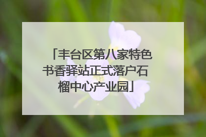丰台区第八家特色书香驿站正式落户石榴中心产业园