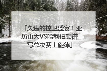 久违的控卫盛宴！亚历山大VS哈利伯顿谱写总决赛主旋律