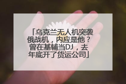 乌克兰无人机突袭俄战机，内应是他？曾在基辅当DJ，去年底开了货运公司