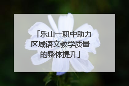 乐山一职中助力区域语文教学质量的整体提升