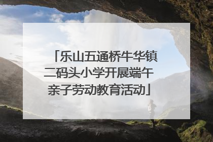 乐山五通桥牛华镇二码头小学开展端午亲子劳动教育活动