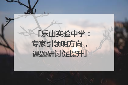 乐山实验中学：专家引领明方向，课题研讨促提升