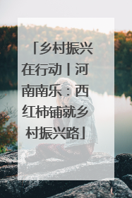 乡村振兴在行动丨河南南乐：西红柿铺就乡村振兴路