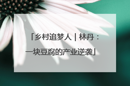 乡村追梦人｜林丹：一块豆腐的产业逆袭