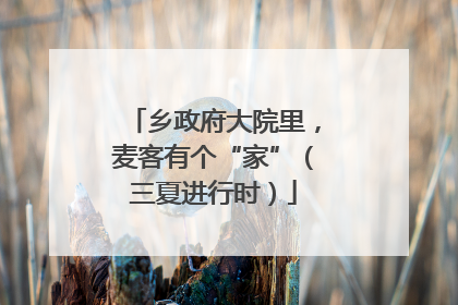 乡政府大院里，麦客有个“家”（三夏进行时）