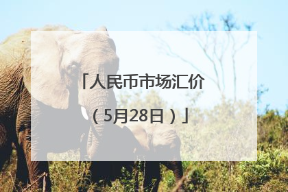 人民币市场汇价（5月28日）