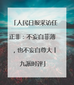 人民日报采访任正非:不妄自菲薄,也不妄自尊大丨九派时评