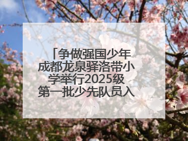 争做强国少年 成都龙泉驿洛带小学举行2025级第一批少先队员入队仪式