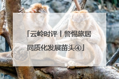 云岭时评丨警惕旅居同质化发展苗头④