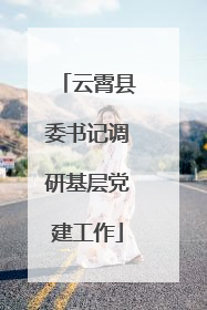 云霄县委书记调研基层党建工作
