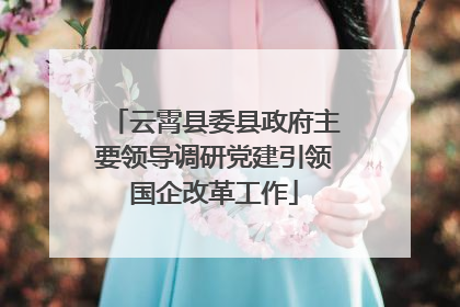 云霄县委县政府主要领导调研党建引领国企改革工作